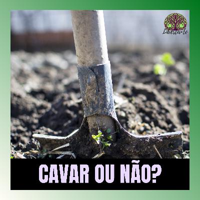 Ep.16 - "Cavar ou Não Cavar?"
