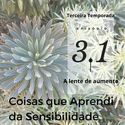 Sensibilidade e Amplificação