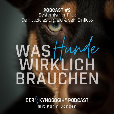 Systemischer Blick Systemischer Blick
