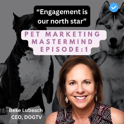 Pet Marketing Mastermind: Beke Lubeach, CEO DOGTV
