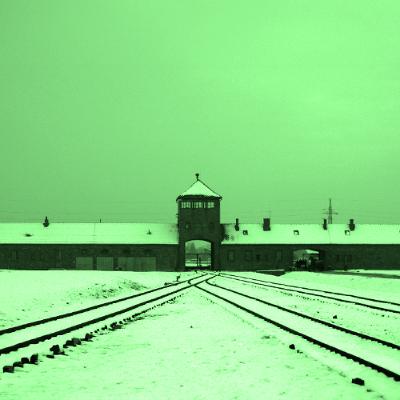 The Nazi Experiment, Vol. 7: The Nazi Rejection of Paperwork Germans