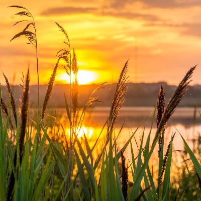 Surrender To Peacefulness (18 min version)