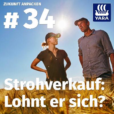 #34: Lohnt sich ein Strohverkauf?
