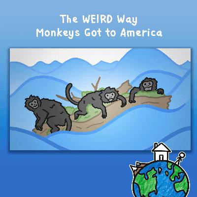 The WEIRD Way Monkeys Got to America The WEIRD Way Monkeys Got to America