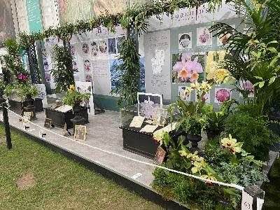 Mid-season adjustments and what it’s like to exhibit at the Chelsea Flower Show