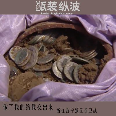 20.偷了我的给我交出来：浙江海宁银元保卫战
