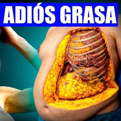 Cómo DESTRUIR la GRASA ABDOMINAL VISCERAL en 30 DÍAS