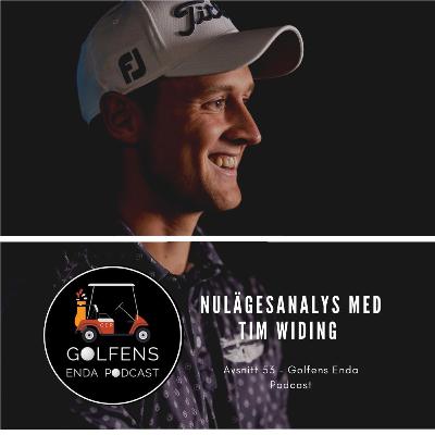 Avsnitt 53 - Nulägesanalys med Tim Widing