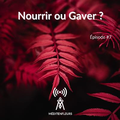 Episode 7 - Nourrir ou Gaver ?