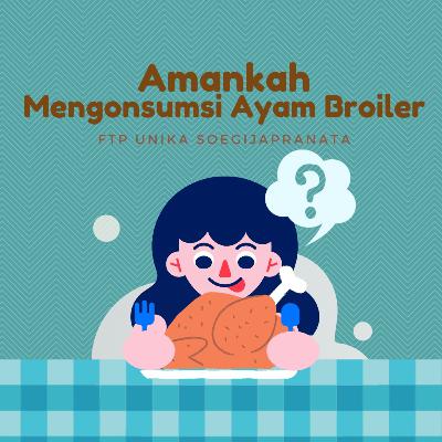 Amankah Mengonsumsi Ayam Broiler?