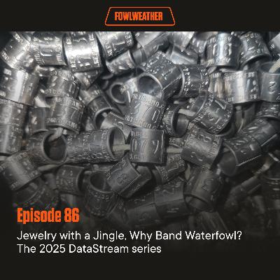 Ep. 86 – Jewelry with a Jingle, Why Band Waterfowl? The 2025 DataStream series