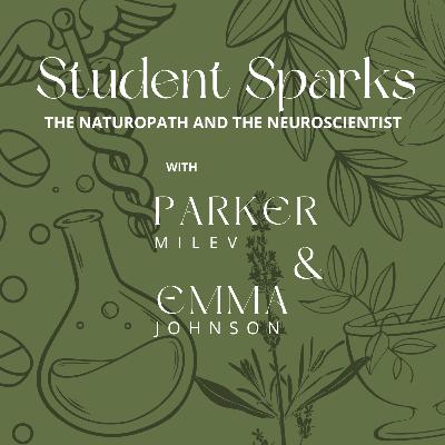 Hangout Session: Chat with the Students