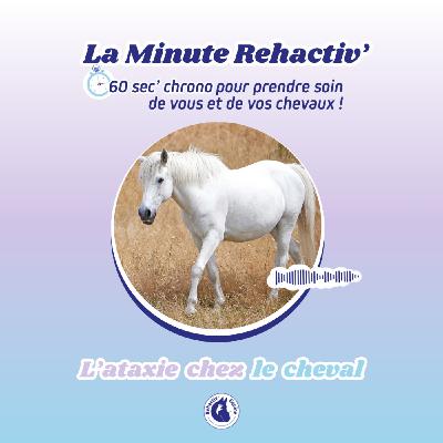 L'ataxie chez les cheval