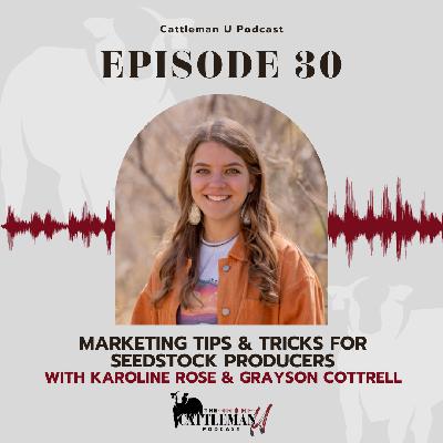 Marketing Tips & Tricks for Seedstock Producers