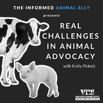 Real challenges in animal advocacy