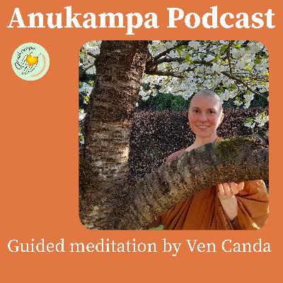 Guided meditation - May Your Peace & Freedom Increase! Mudita Meditation