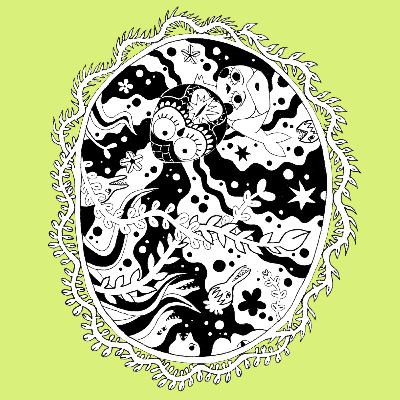 17. The Nut Owl and the Sea of Suspension