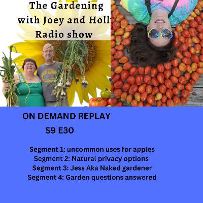 Episode 1474: S9E30 uncommon uses for apples, Natural privacy options , Jess  AKA  ⁨@nakedgardenerNC⁩  - The Gardening with Joey and Holly Radio Show
