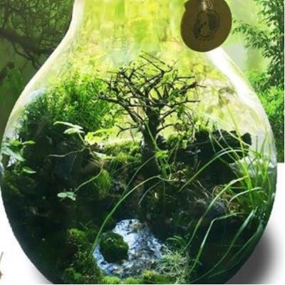 Ward w słoiku #polskipodcast Ward w słoiku #polskipodcast