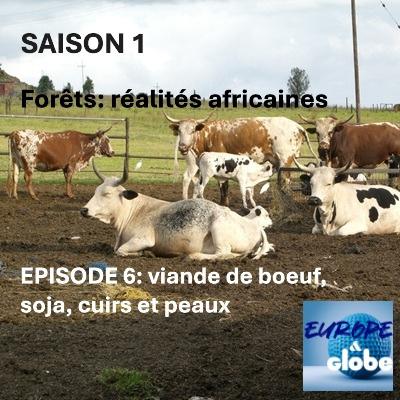 Forêts: Réalités africaines, Episode 6 - viande de boeuf, soja, et cuirs et peaux