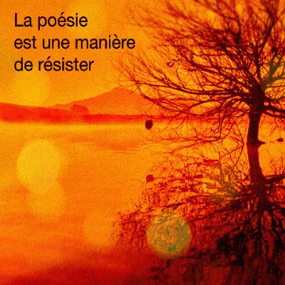 MICROPHONE FRANCOPHONE 15.4 MICROPHONE FRANCOPHONE 15.4