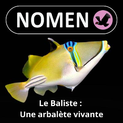 S05E31 Le Baliste : Une arbalète vivante