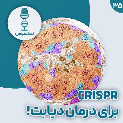 ۳۵— درمان دیابت نوع یک در یک قدمی: ویرایش ژنی CRISPR ناجی بیماران ۳۵— درمان دیابت نوع یک در یک قدمی: ویرایش ژنی CRISPR ناجی بیماران