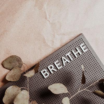 Episode 53 - Segment 2 - Living With The Book: Breathe Magazine