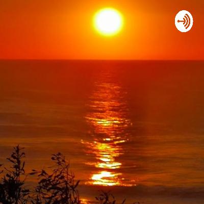 3 basics, foundations for wellness 3 basics, foundations for wellness