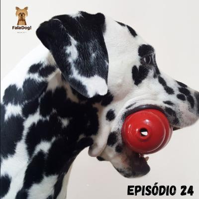 Porque meu cachorro precisa de brinquedos?