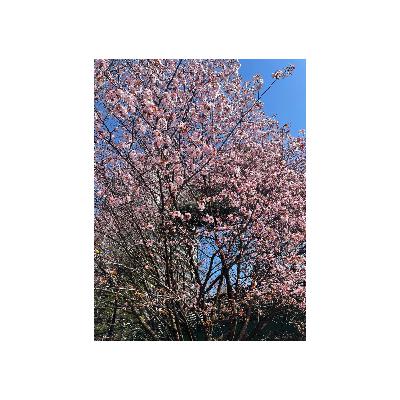4. 『新卒就活を振り返ろう』