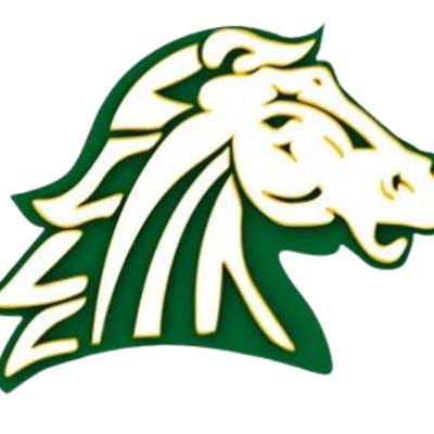 2025 Hempstead Mustangs Football Season Preview