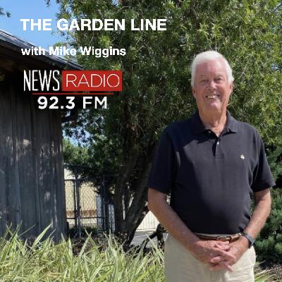 09/02/2025  The Garden Line