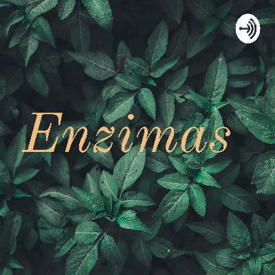 Enzimas - biologia