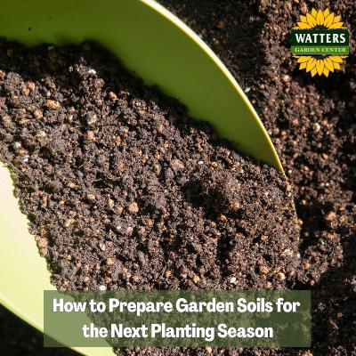 🪏How to Prepare Garden Soils for the Next Planting Season