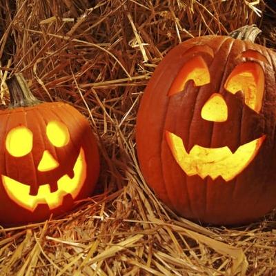 Pumpkin Patches: The farmers and the families getting big into Halloween