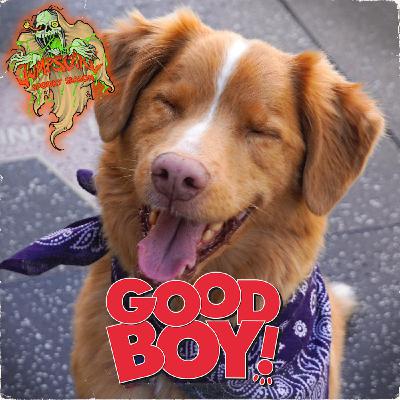 GOOD BOY : Film de whouf
