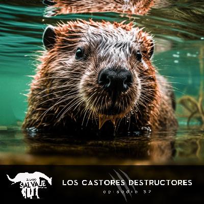 Los Castores Destructores