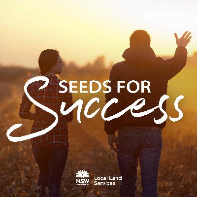 How a consistent improvement philosophy contributes to this farm and stud’s success
