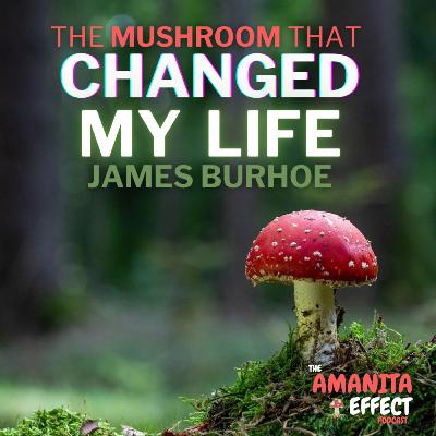The mushroom That Changed My LIFE: Jame's Story