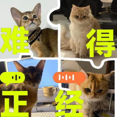 宠物经济：投资人&咨询师&操盘手观点对对碰