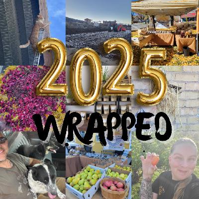 Ep 66 - 2025 Wrapped