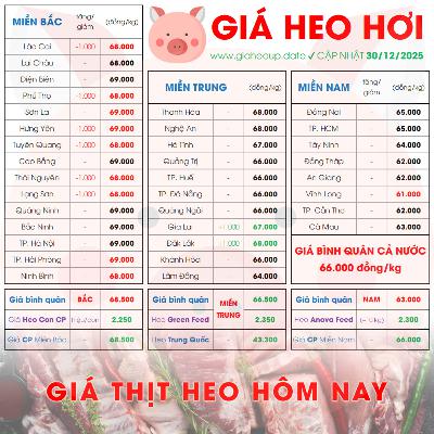 GIÁ HEO HƠI 30/12/2025 ✅ GIÁ THỊT LỢN & TIN TỨC CHĂN NUÔI #GIAHEOHOI #GIATHITHEO #GIAHEOUPDATE