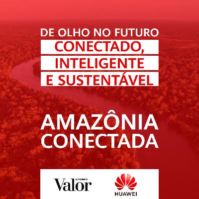 Amazônia conectada