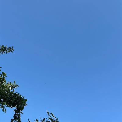 Toxickí ľudia Toxickí ľudia