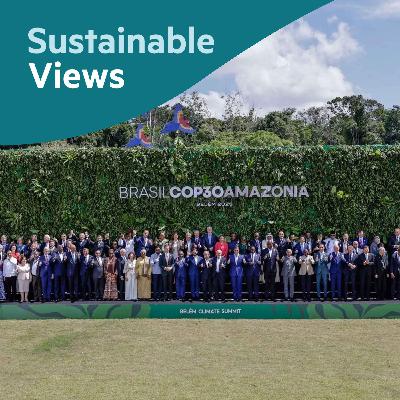 What to expect from COP30