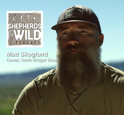 Ep 37 - Matt Skoglund, North Bridger Bison