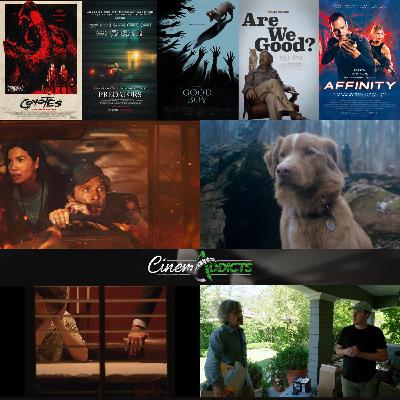 CinemAddicts 314: The Lost Bus, Good Boy, Are We Good?, Steven Feinartz, Predators, Coyotes CinemAddicts 314: The Lost Bus, Good Boy, Are We Good?, Steven Feinartz, Predators, Coyotes