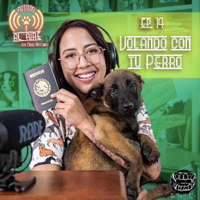 E.14 - Volando con tu Perro. E.14 - Volando con tu Perro.