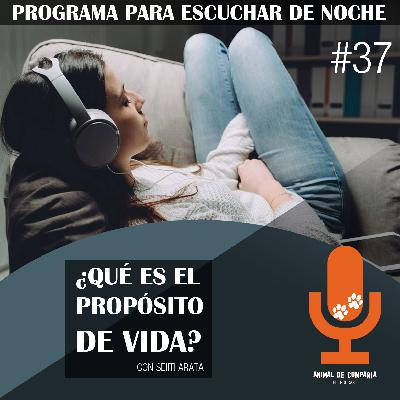 S2 Ep37: # 37 ¿Qué es el propósito de vida? (con Seiiti Arata)